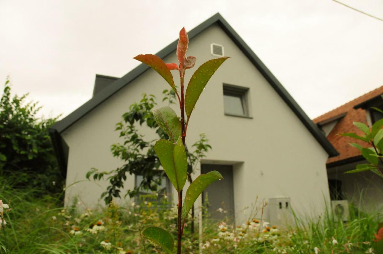 Vakantiehuis Vacation K22 *